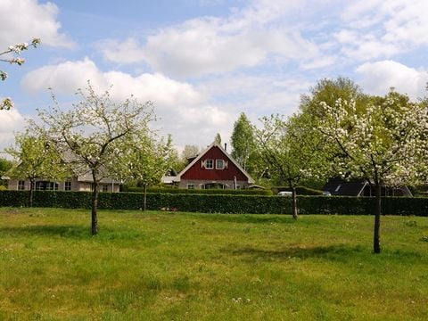 Buitenplaats In den Olden Bongerd - Camping Winterswijk - Afbeelding N°2