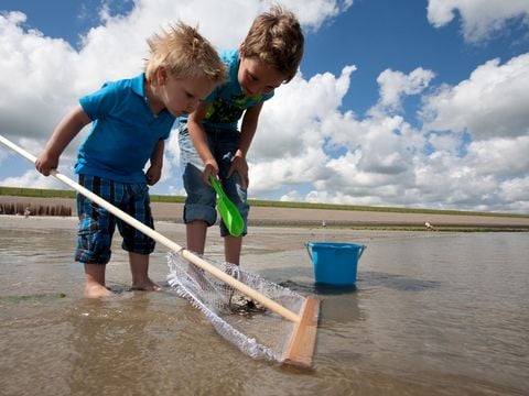 Bungalowpark 't Hoogelandt - Camping Texel - Afbeelding N°0