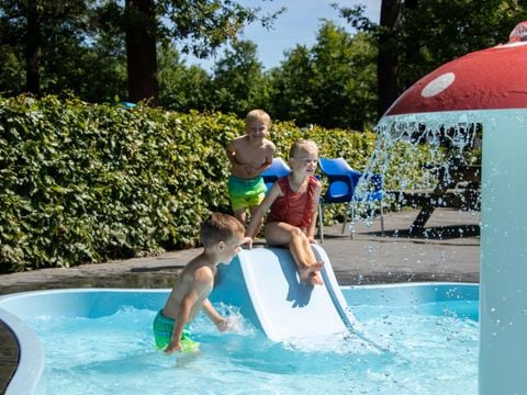 Recreatiepark De Voorst - Camping Noordoostpolder - Afbeelding N°3