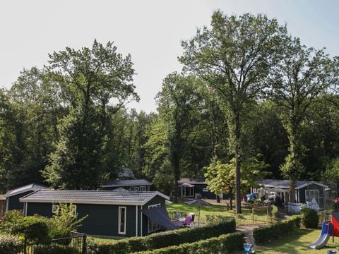 Vakantiepark Bonte Vlucht - Camping Utrechtse Heuvelrug - Afbeelding N°4