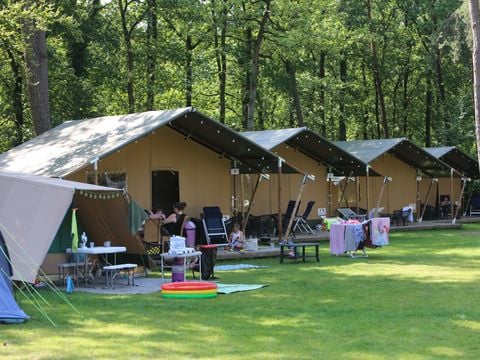 Vakantiepark Bonte Vlucht - Camping Utrechtse Heuvelrug - Afbeelding N°3