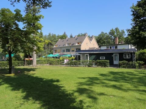 Vakantiepark Bonte Vlucht - Camping Utrechtse Heuvelrug - Afbeelding N°5