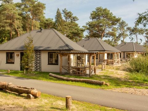 Safari Resort Beekse Bergen - Camping Hilvarenbeek - Afbeelding N°0