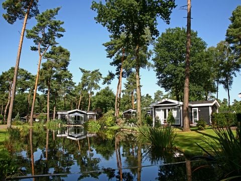 Bospark Markelo - Camping Hof van Twente - Afbeelding N°0