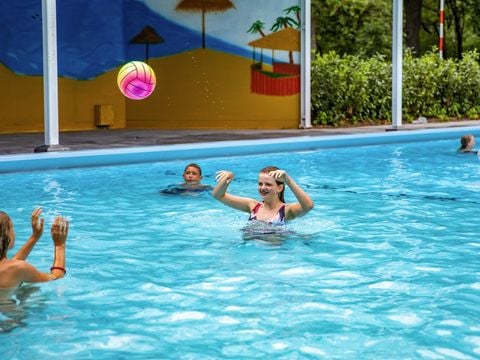 Vakantiepark De Ossenberg - Camping Utrechtse Heuvelrug - Afbeelding N°0