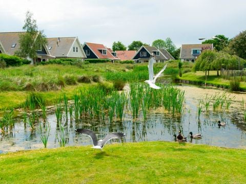 Landal Duinpark 't Hof van Haamstede - Camping Schouwen-Duiveland - Afbeelding N°5