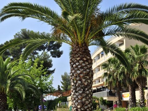 Pierre & Vacances Résidence Bandol Port - Camping Var - Afbeelding N°4