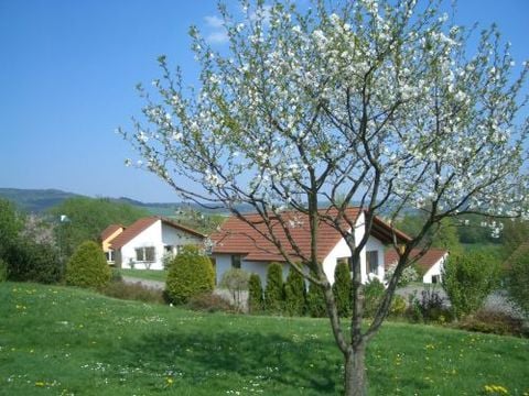 Ferienhaus Uslar - Camping Nedersaksen - Afbeelding N°2