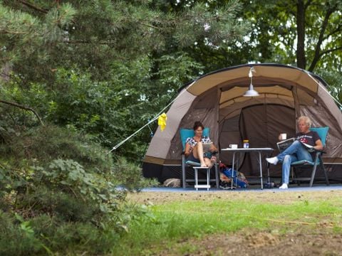 Oostappen park Boschbeek - Camping Roerdalen - Afbeelding N°3