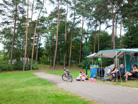 Oostappen park Boschbeek - Camping Roerdalen - Afbeelding N°4