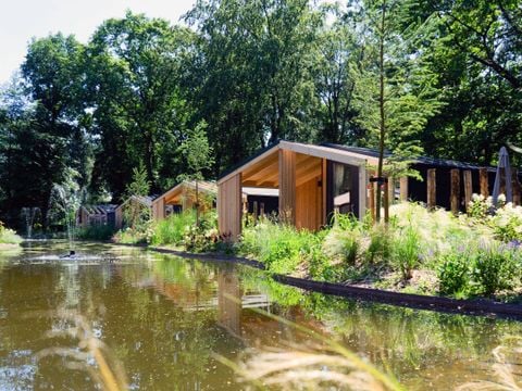 EuroParcs Utrechtse Heuvelrug - Camping Utrechtse Heuvelrug - Afbeelding N°0