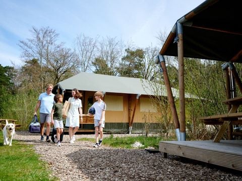 Landal Glamping Neufchateau - Camping Belgisch-Luxemburg