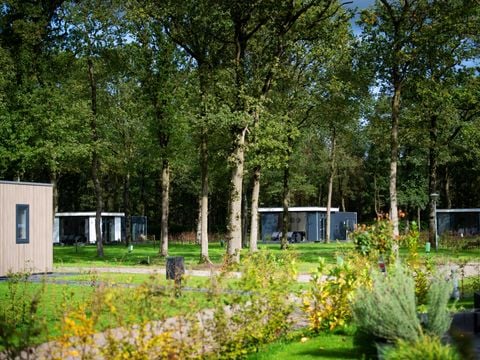 Park Drentheland - Camping Westerveld - Afbeelding N°0