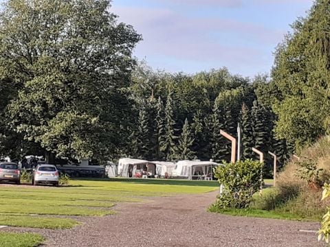 Heidepark Veluwschkarakter - Camping Nunspeet - Afbeelding N°5