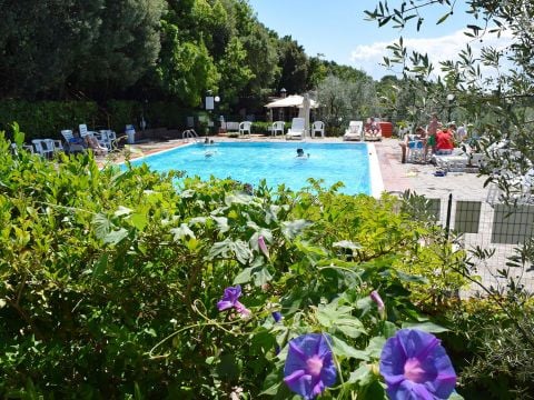 Villaggio Blucamp - Camping Livorno