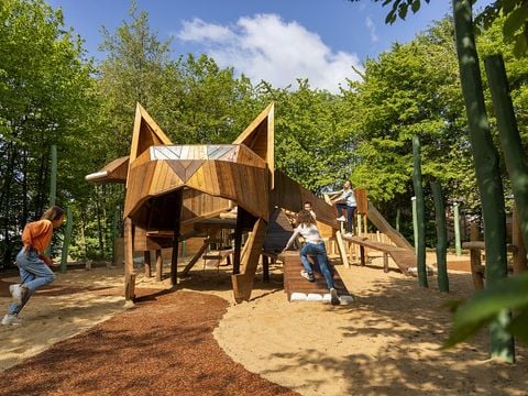 Center Parcs Park Eifel - Camping Rijnland-Palts - Afbeelding N°3