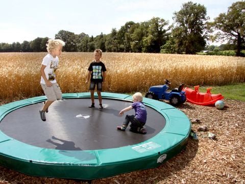 Landrijk de Reesprong - Camping Haaksbergen - Afbeelding N°2