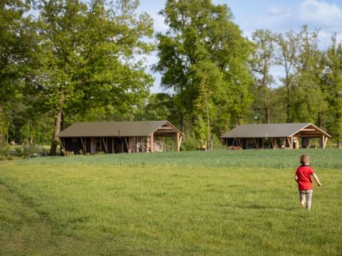 Landrijk de Reesprong - Camping Haaksbergen - Afbeelding N°4