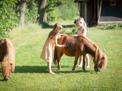 Landrijk de Reesprong - Camping Haaksbergen - Afbeelding N°0