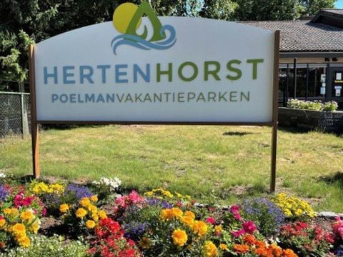 Vakantiepark Hertenhorst - Camping Apeldoorn - Afbeelding N°4