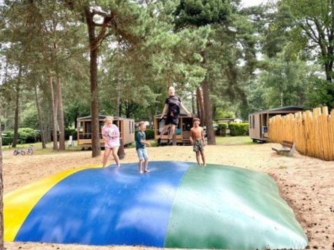 Vakantiepark Hertenhorst - Camping Apeldoorn