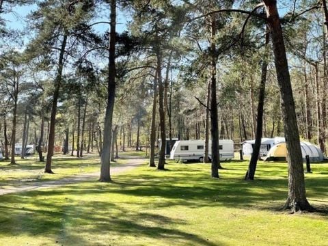 Vakantiepark Hertenhorst - Camping Apeldoorn - Afbeelding N°2