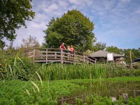 Landal Klein Oisterwijk - Camping Oisterwijk - Afbeelding N°0