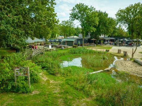 Landal Klein Oisterwijk - Camping Oisterwijk - Afbeelding N°5