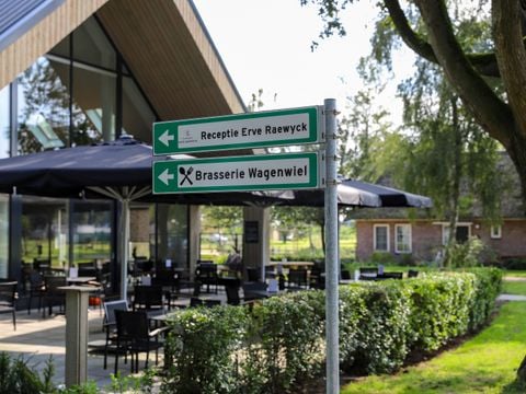 Buitengoed Erve Raewyck - Camping Hardenberg - Afbeelding N°5