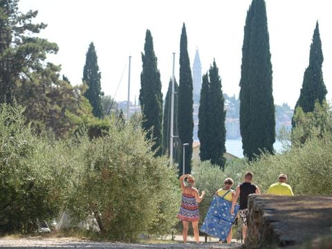 Camping Porton Biondi - Camping Istrië - Afbeelding N°4