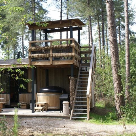 UNIEKE ACCOMMODATIE 5 personen - Tiny house Treetrunk met hottub