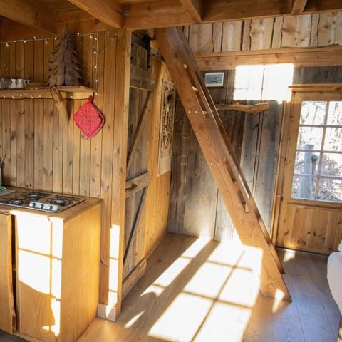 UNIEKE ACCOMMODATIE 6 personen - Boomhut Treehouse met hottub