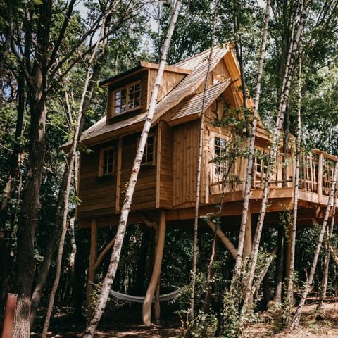 UNIEKE ACCOMMODATIE 4 personen - Boomhut Treehouse met hottub