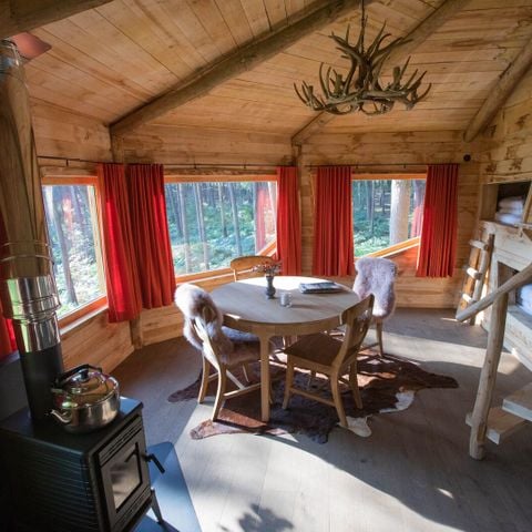 UNIEKE ACCOMMODATIE 5 personen - Boomhut Treehouse met sauna