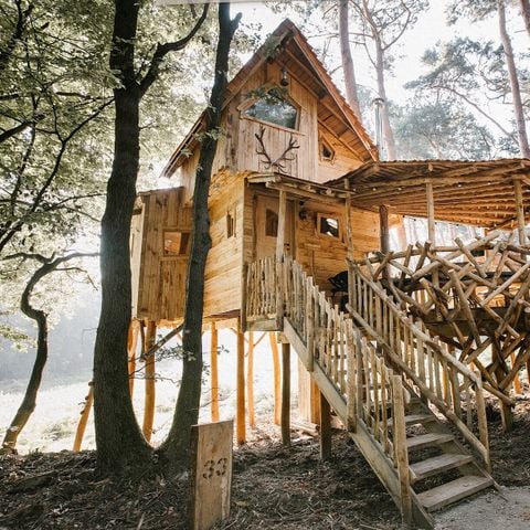 UNIEKE ACCOMMODATIE 5 personen - Boomhut Treehouse met sauna