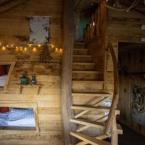 UNIEKE ACCOMMODATIE 5 personen - Boomhut Treehouse met sauna