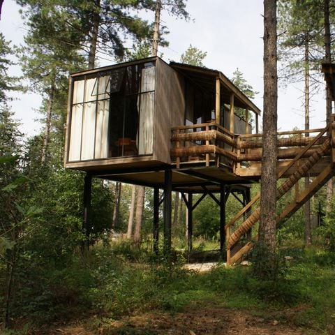 UNIEKE ACCOMMODATIE 4 personen - Boomhut Treetop met hottub