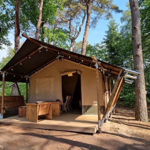 Tent 4 personen - Safaritent