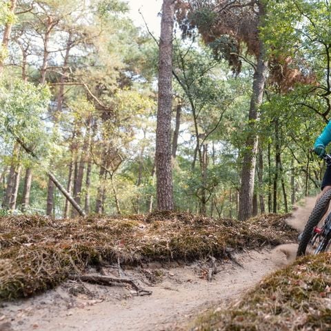 VAKANTIEHUIS 14 personen - De Saale