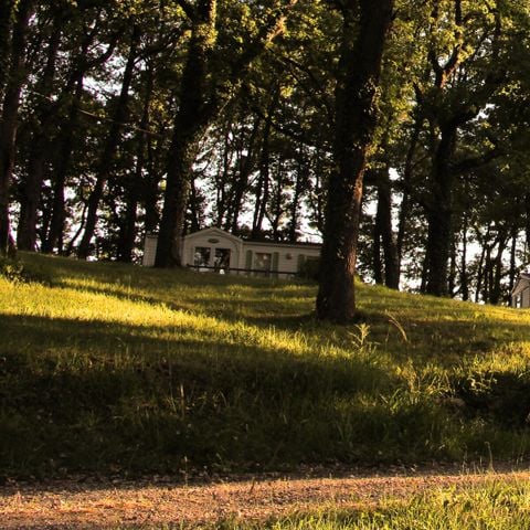 Stacaravan 4 personen - Natuur 3 Kamers