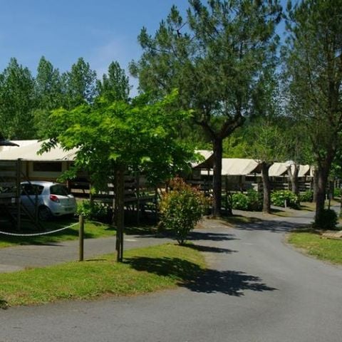 Safaritent 6 personen - ULIA Lodge (op palen)