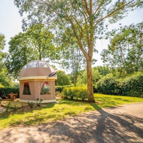 UNIEKE ACCOMMODATIE 4 personen - Wigwam