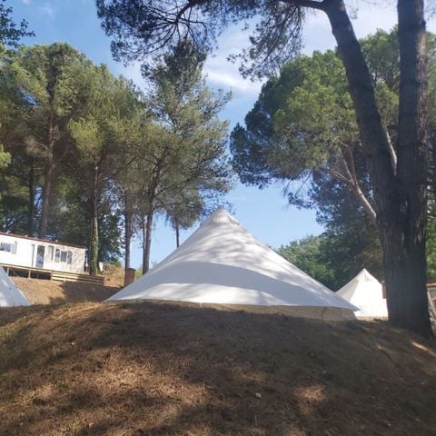 UNIEKE ACCOMMODATIE 8 personen - BELL TENT