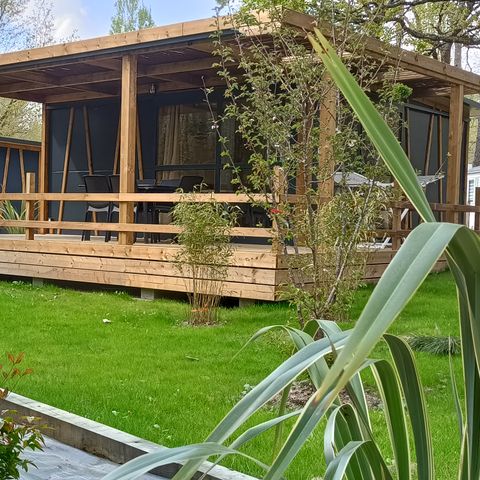 Safaritent 5 personen - Ty Lodge - 25m² - 2 kamers