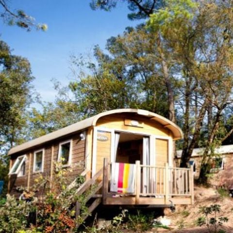 UNIEKE ACCOMMODATIE 4 personen - 4-persoons caravan (voetgangersgebied)