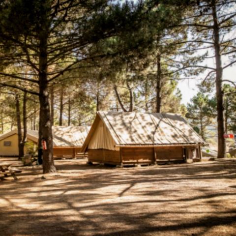 Safaritent 4 personen - Lodge Tent - Geen sanitair - aankomst op zaterdag in het hoogseizoen