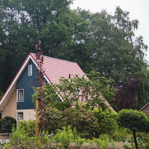 VAKANTIEHUIS 14 personen - Het Korhoen