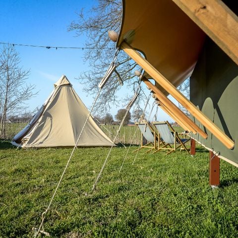 Tent 4 personen - Buurman's Awajitentje