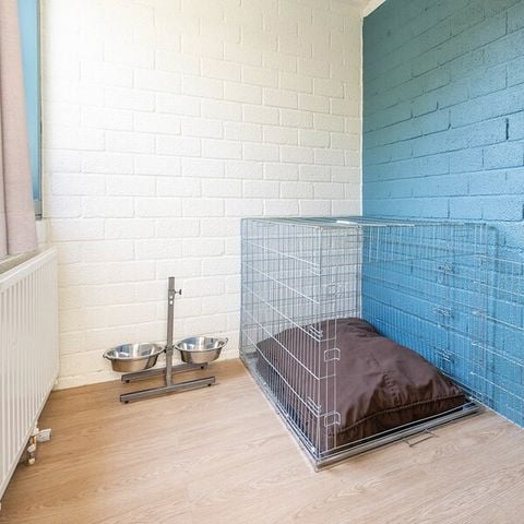 Bungalow 4 personen - Honden MD2428