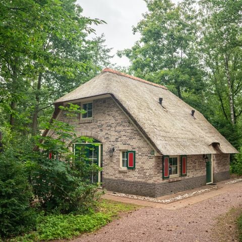 VAKANTIEHUIS 6 personen - 6D3